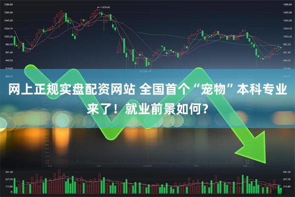 网上正规实盘配资网站 全国首个“宠物”本科专业来了！就业前景如何？