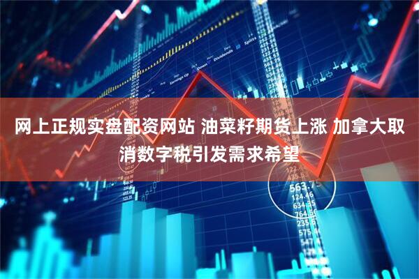 网上正规实盘配资网站 油菜籽期货上涨 加拿大取消数字税引发需求希望