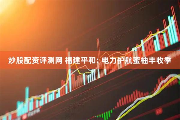 炒股配资评测网 福建平和: 电力护航蜜柚丰收季