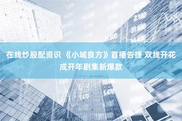 在线炒股配资识 《小城良方》首播告捷 双线开花成开年剧集新爆款